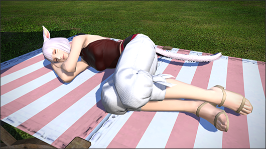 Nova pose para o emote Doze em Final Fantasy XIV